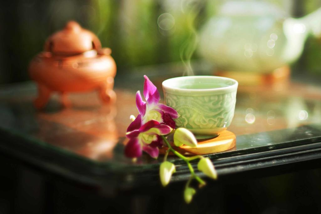 Rice Village Homestay Hoi An Exterior foto